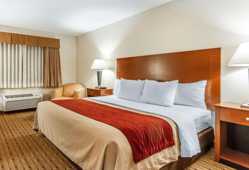 带大床的标准间, Quality Inn & Suites