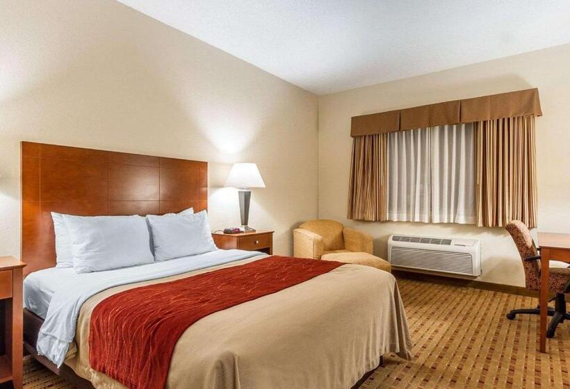 Standard Room, Quality Inn & Suites