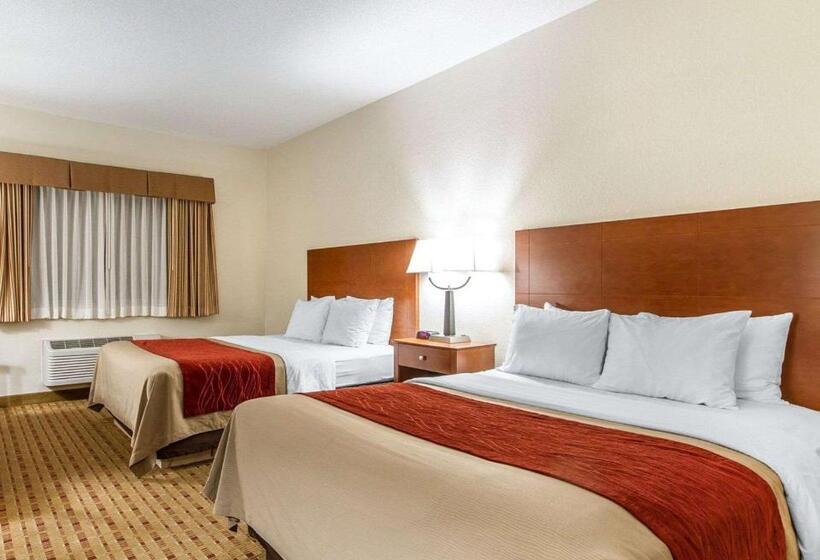 Chambre Standard, Quality Inn & Suites