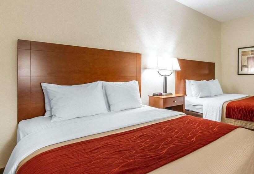 Standard Room, Quality Inn & Suites