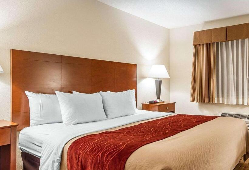 带大床的套房, Quality Inn & Suites