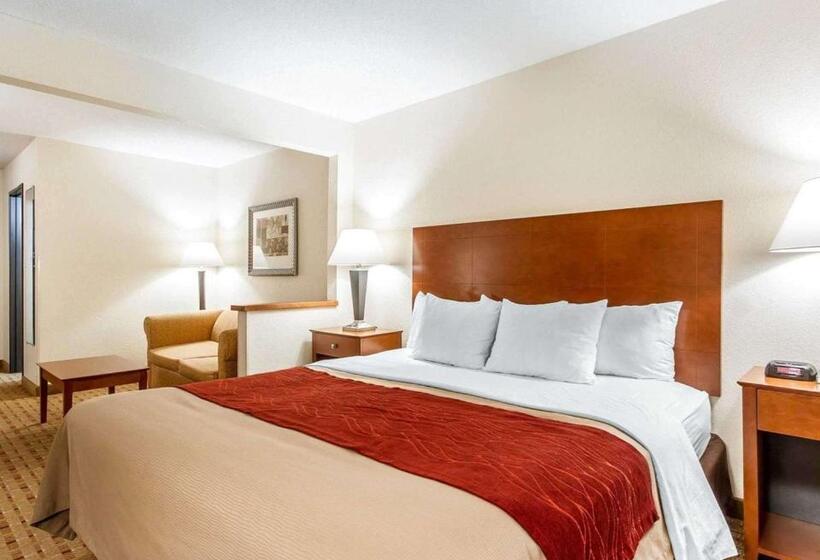 Suite Cama King, Quality Inn & Suites