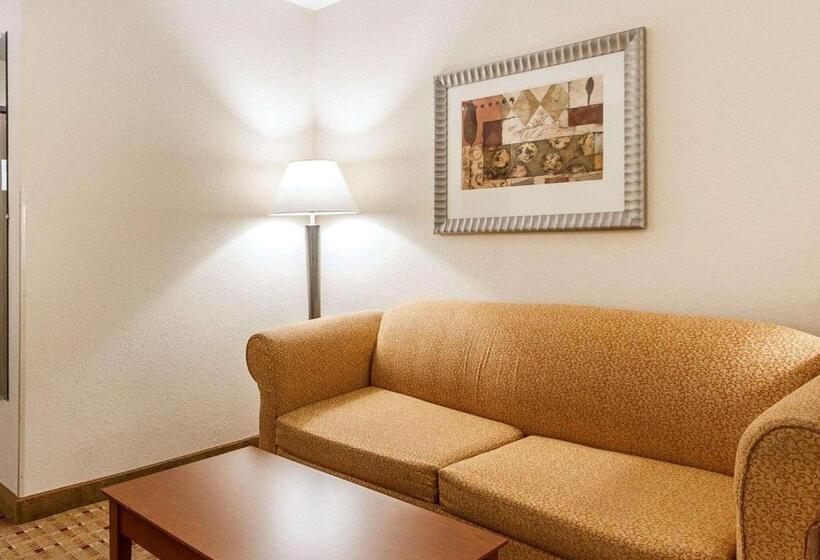 带大床的套房, Quality Inn & Suites