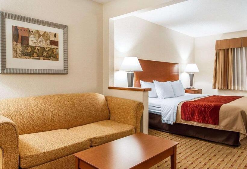 带大床的套房, Quality Inn & Suites