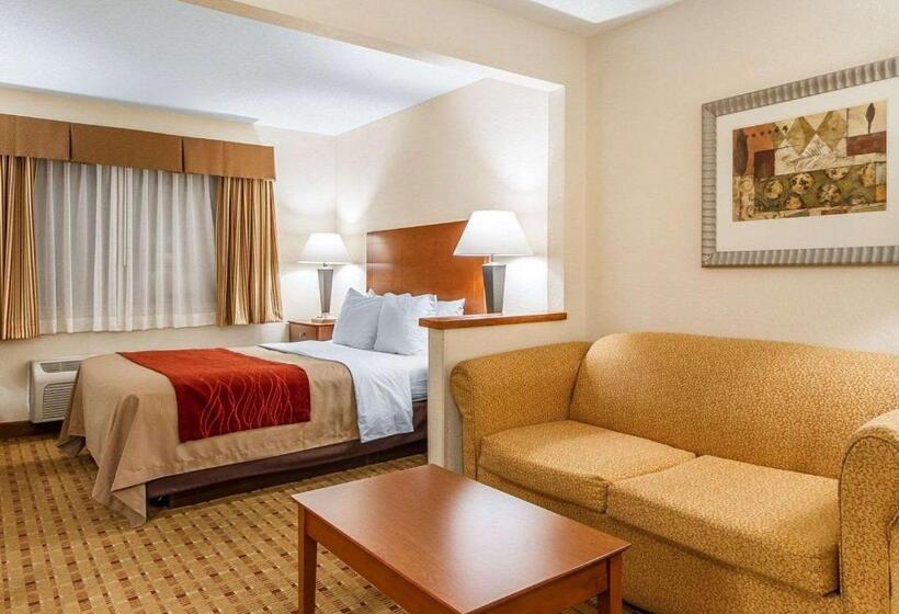 Suite, Quality Inn & Suites