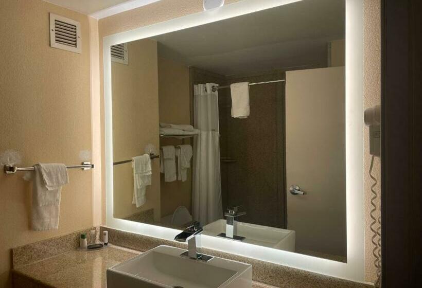 اتاق استاندارد با تخت بزرگ, Ramada By Wyndham Harrisburg/hershey Area