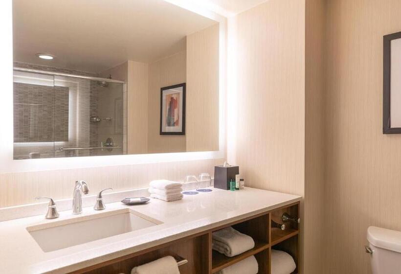 quarto Deluxe Adaptado para Deficientes Físicos, Sheraton Grand Chicago