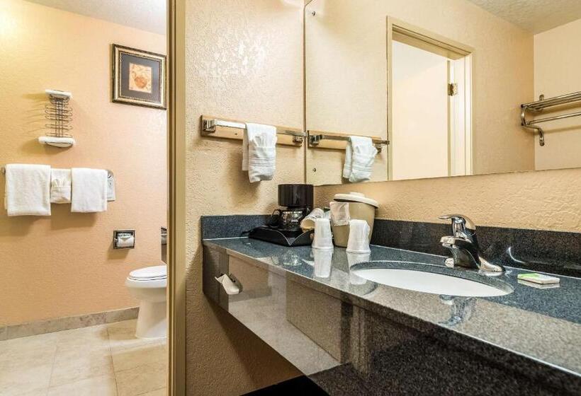 سوئیت با تخت بزرگ, Surestay Hotel By Best Western Wenatchee