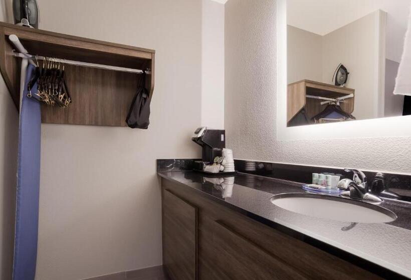 اتاق استاندارد با تخت بزرگ, Best Western Flagship Inn