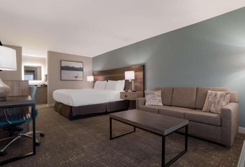 اتاق استاندارد با تخت بزرگ, Best Western Flagship Inn