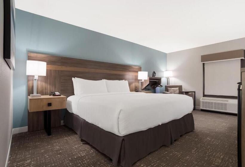اتاق استاندارد با تخت بزرگ برای معلولان, Best Western Flagship Inn