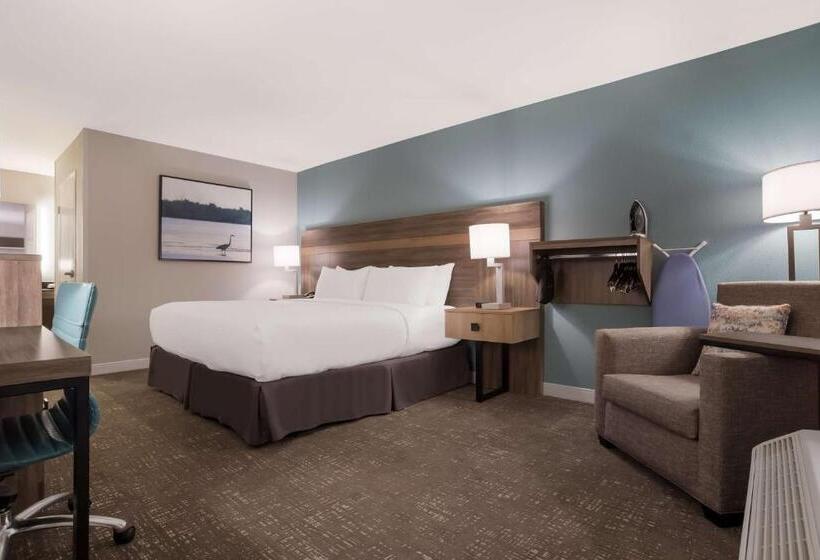 اتاق استاندارد با تخت بزرگ برای معلولان, Best Western Flagship Inn