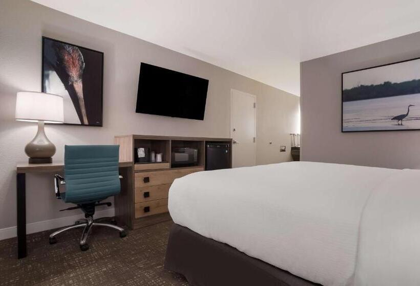 اتاق استاندارد با تخت بزرگ برای معلولان, Best Western Flagship Inn