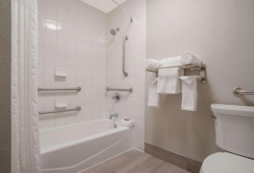 اتاق استاندارد با تخت بزرگ برای معلولان, Best Western Flagship Inn