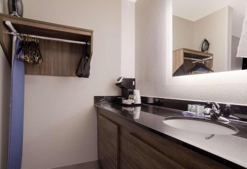 اتاق استاندارد با تخت بزرگ, Best Western Flagship Inn