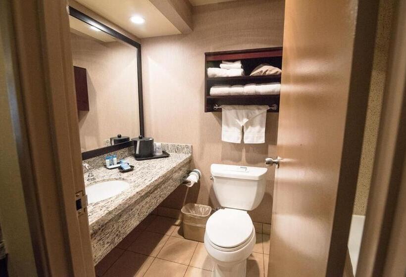 اتاق لوکس با تخت بزرگ, Best Western Plus Redondo Beach Inn