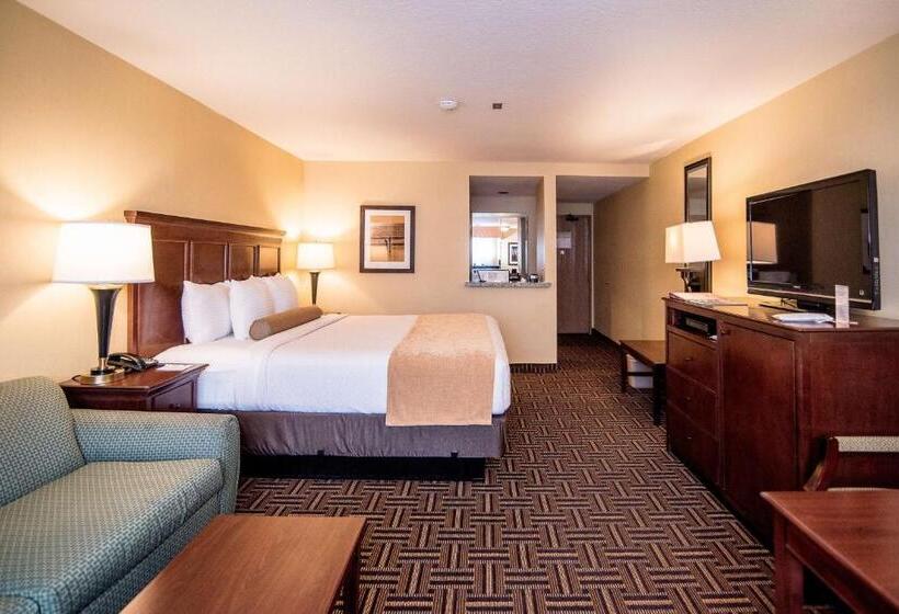 اتاق لوکس با تخت بزرگ, Best Western Plus Redondo Beach Inn
