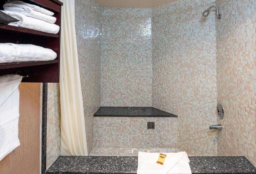 اتاق لوکس با تخت بزرگ, Best Western Plus Redondo Beach Inn