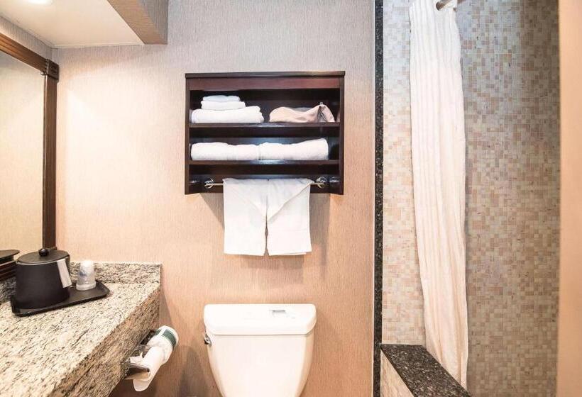 اتاق لوکس با تخت بزرگ, Best Western Plus Redondo Beach Inn