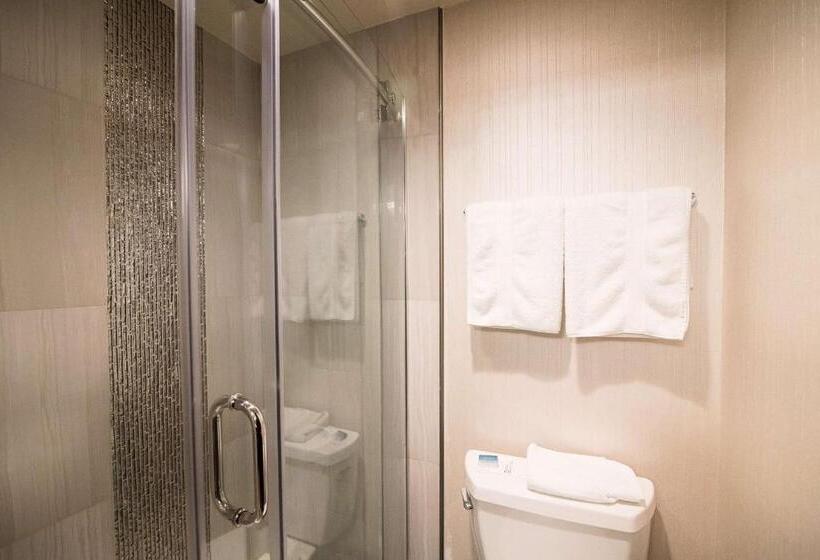 سوئیت با تخت بزرگ, Best Western Plus Redondo Beach Inn