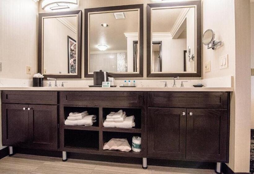 سوئیت با تخت بزرگ, Best Western Plus Redondo Beach Inn