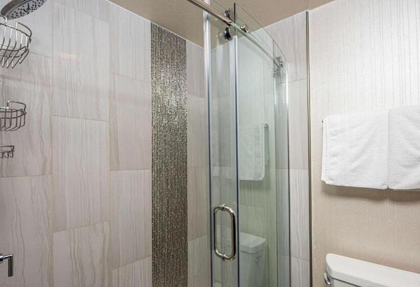 سوئیت با تخت بزرگ, Best Western Plus Redondo Beach Inn