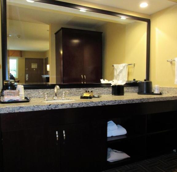 اتاق استاندارد با تخت بزرگ, Best Western Plus Redondo Beach Inn