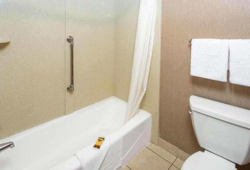 اتاق استاندارد با تخت بزرگ, Best Western Plus Redondo Beach Inn