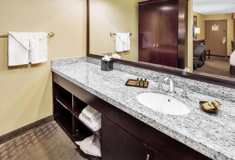 اتاق استاندارد با تخت بزرگ, Best Western Plus Redondo Beach Inn