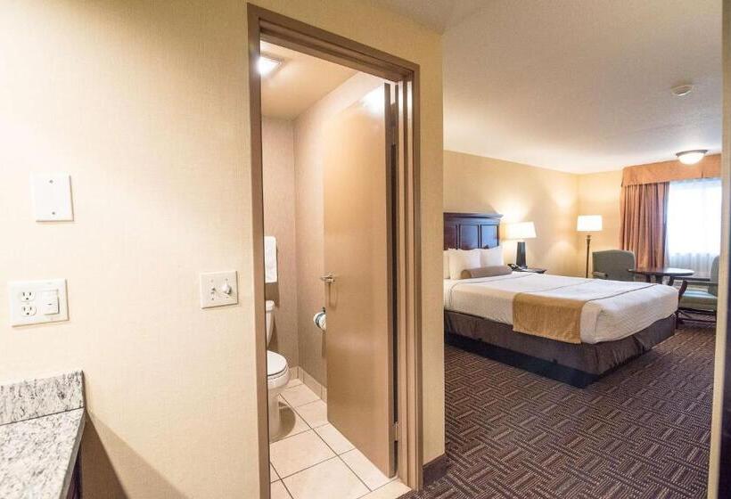 اتاق استاندارد با تخت بزرگ, Best Western Plus Redondo Beach Inn