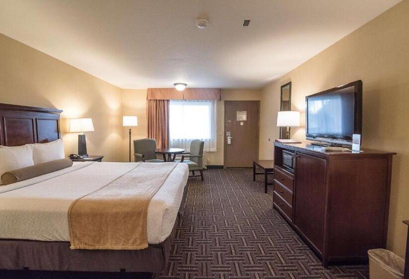 اتاق استاندارد با تخت بزرگ, Best Western Plus Redondo Beach Inn