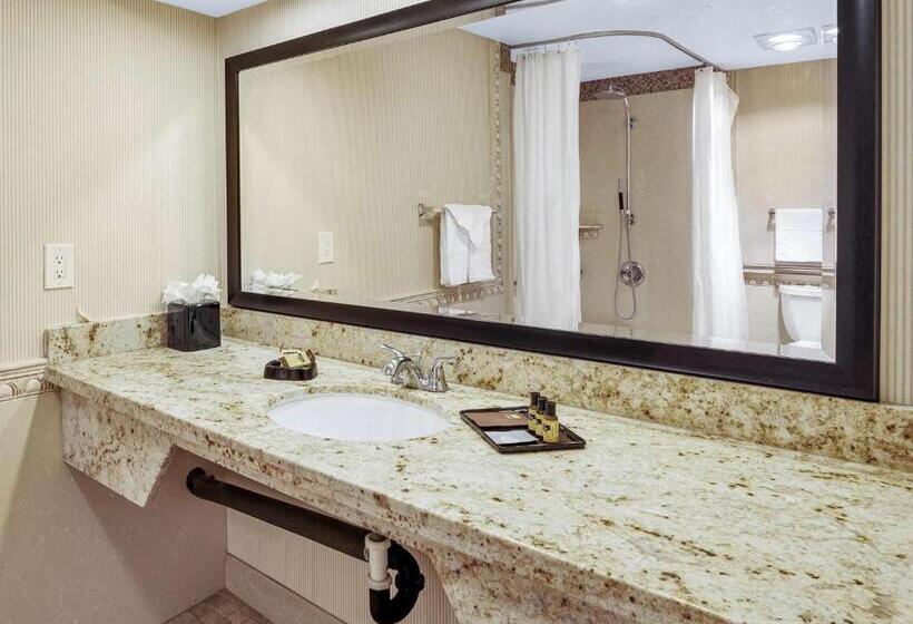 اتاق استاندارد با تخت بزرگ برای معلولان, Best Western Plus Redondo Beach Inn