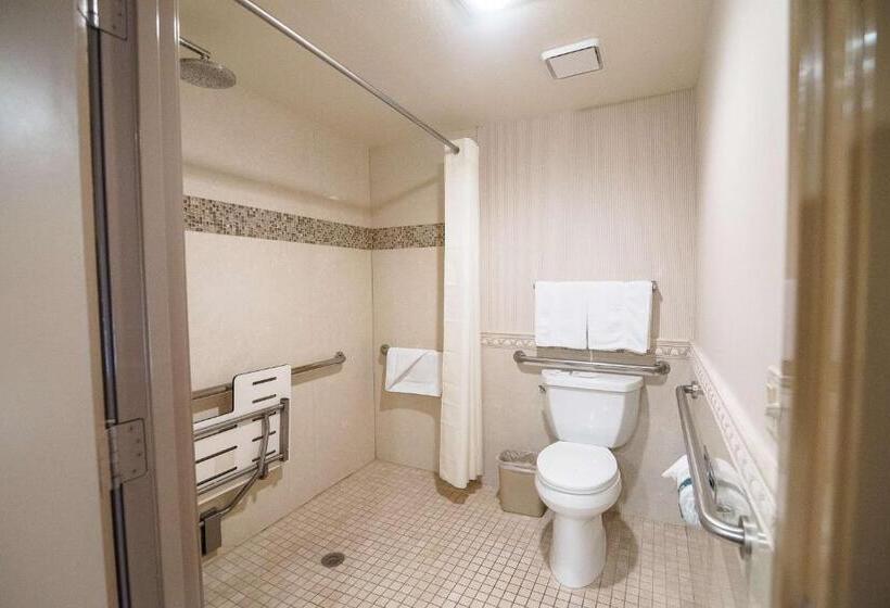 اتاق استاندارد با تخت بزرگ برای معلولان, Best Western Plus Redondo Beach Inn