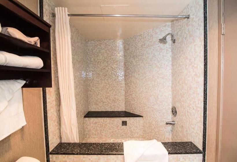 اتاق لوکس با تخت بزرگ, Best Western Plus Redondo Beach Inn