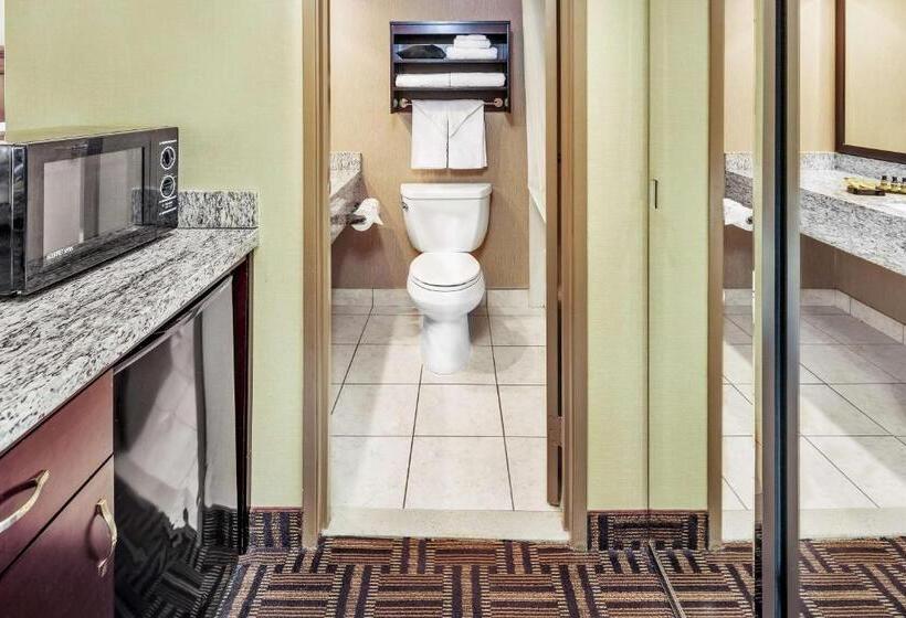 اتاق استاندارد با تخت بزرگ, Best Western Plus Redondo Beach Inn