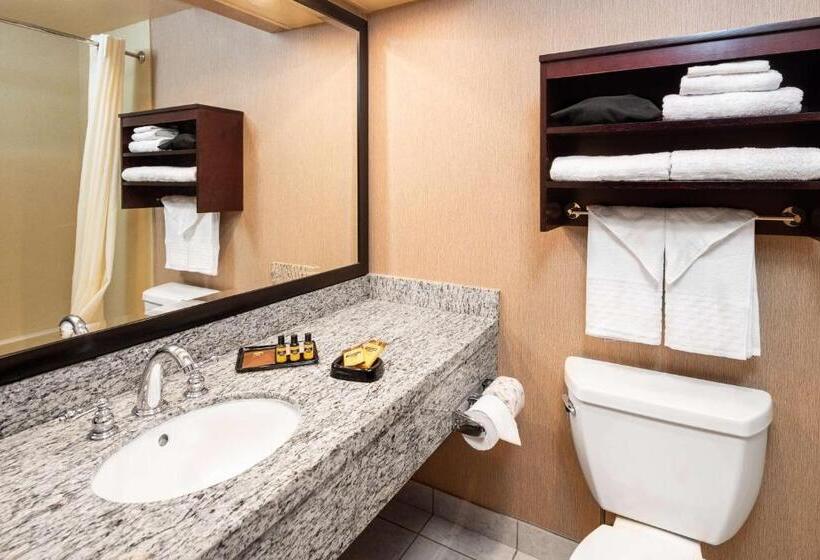 اتاق استاندارد با تخت بزرگ, Best Western Plus Redondo Beach Inn