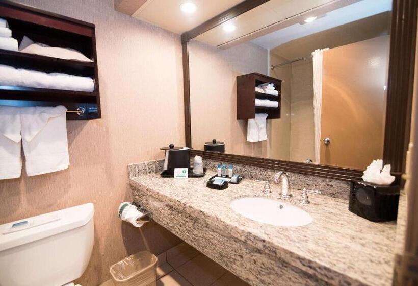 اتاق استاندارد با تخت بزرگ, Best Western Plus Redondo Beach Inn