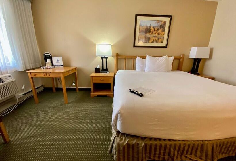 اتاق استاندارد با تخت دوبل برای معلولان, Best Western Sheridan Center