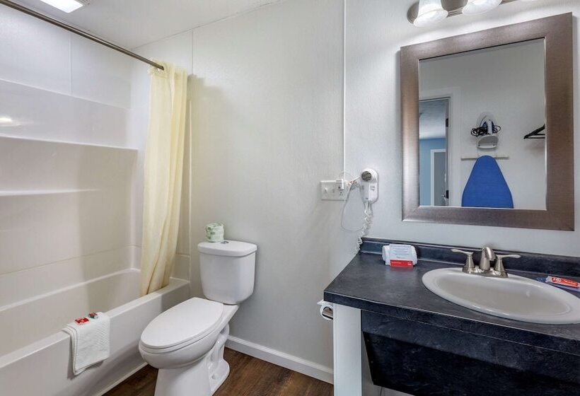 اتاق لوکس, Econo Lodge Inn & Suites South