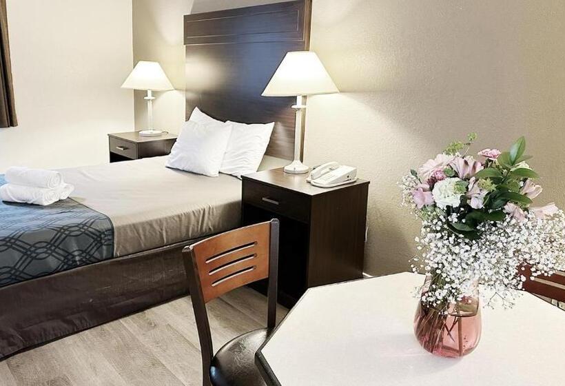اتاق استاندارد, Ocean Star Inn