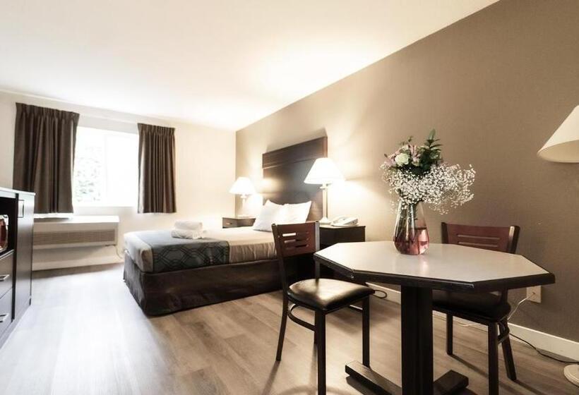 اتاق استاندارد, Ocean Star Inn