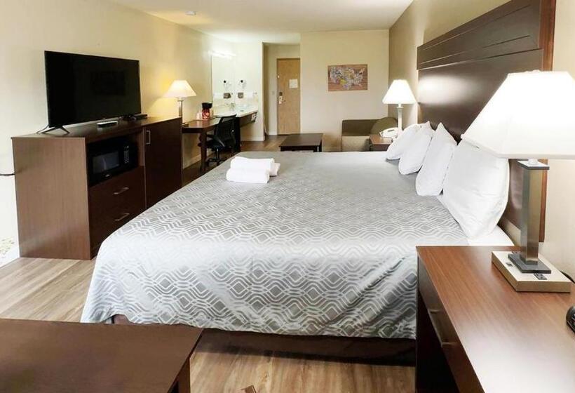 اتاق استاندارد با تخت بزرگ, Ocean Star Inn