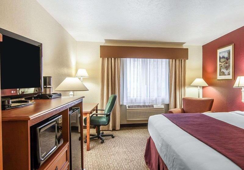 اتاق استاندارد با تخت بزرگ, Quality Inn Downtown Convention Center