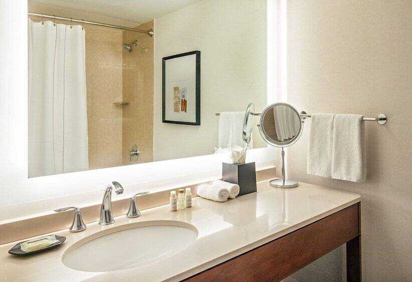 小型套房, Sheraton Boston Needham