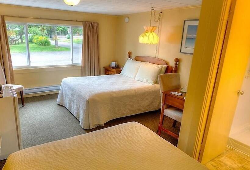 اتاق استاندارد با 2 تخت دوبل, Picket Fence Motel