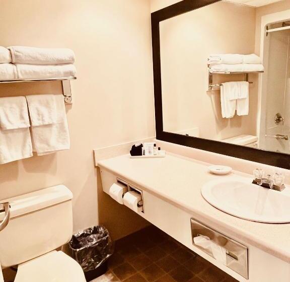 اتاق استاندارد, Royal Hotel Lloydminster