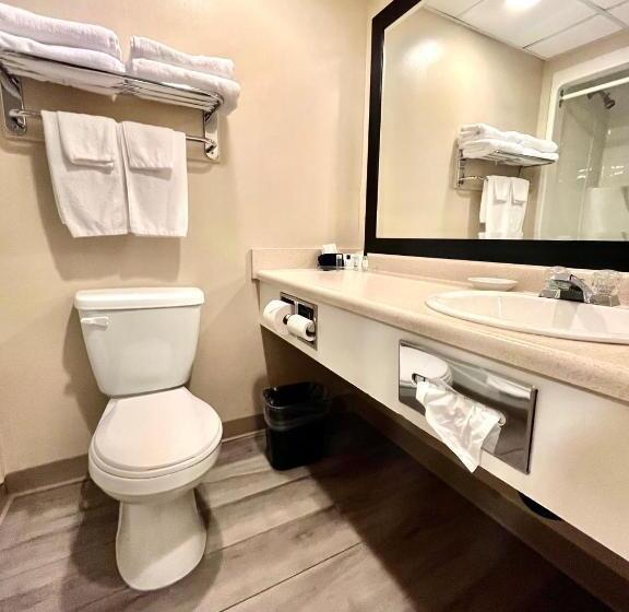 سوئیت با تخت بزرگ, Royal Hotel Lloydminster