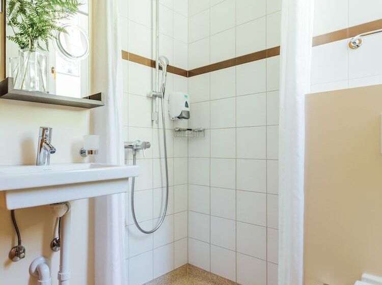 اتاق استاندارد, Budget Rooms Gstaad