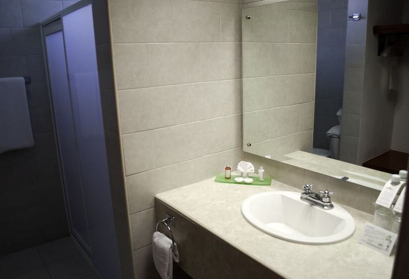اتاق استاندارد با 2 تخت دوبل, Los Olivos Spa