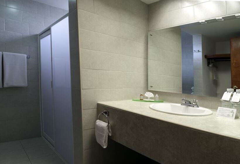 اتاق استاندارد با 2 تخت دوبل, Los Olivos Spa